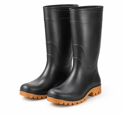 Rain boots (illustration)